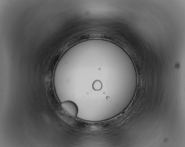 X0000100780737200806191016