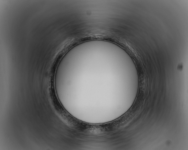 X0000100780738200806191016