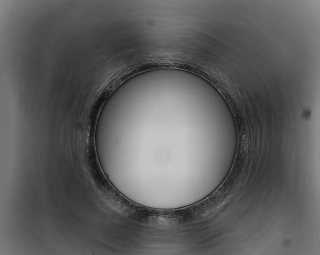 X0000100780739200806191016