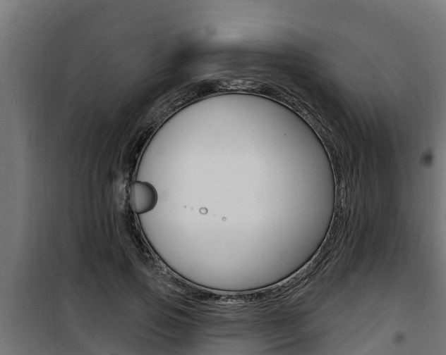 X0000100780741200806191016