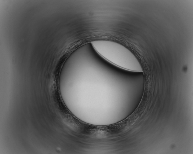 X0000100780743200806191016