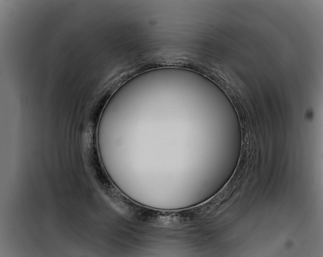 X0000100780744200806191016