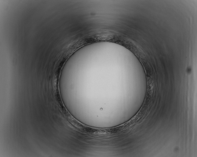 X0000100780745200806191016