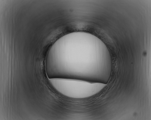 X0000100780746200806191016