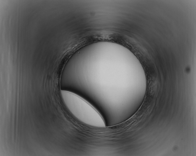 X0000100780747200806191016