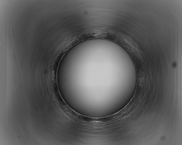 X0000100780748200806191016