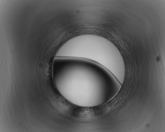 X0000100780750200806191016