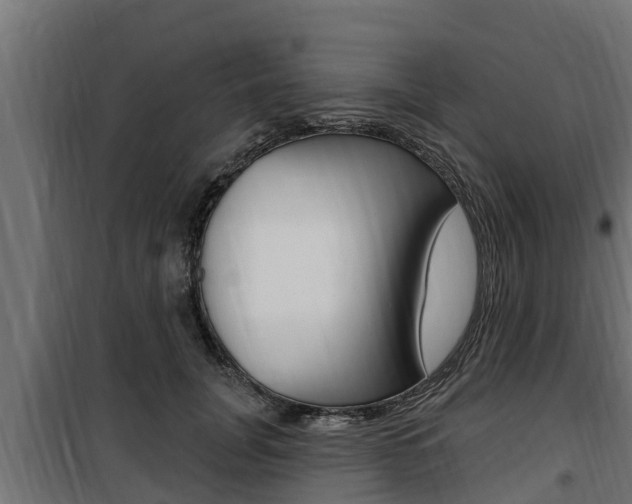 X0000100780751200806191016