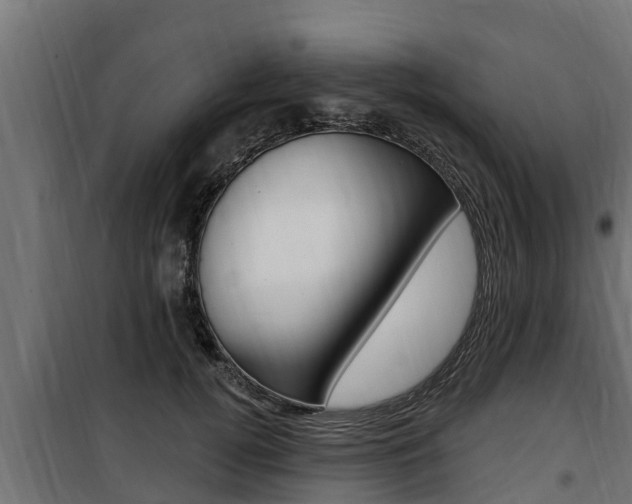 X0000100780752200806191016