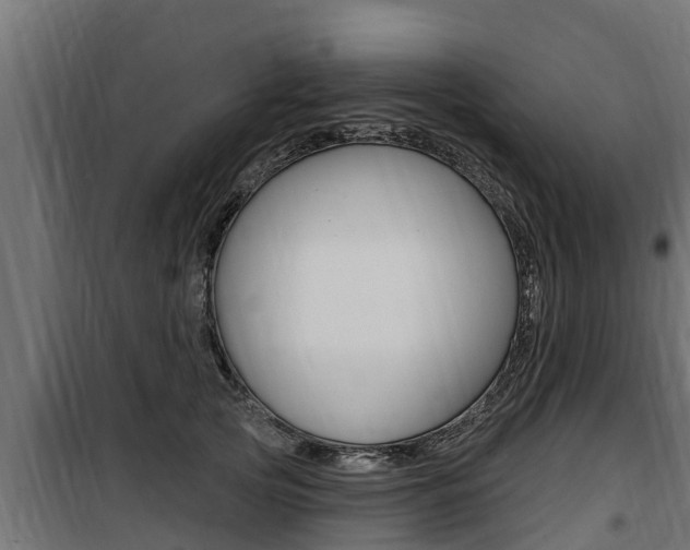 X0000100780753200806191016