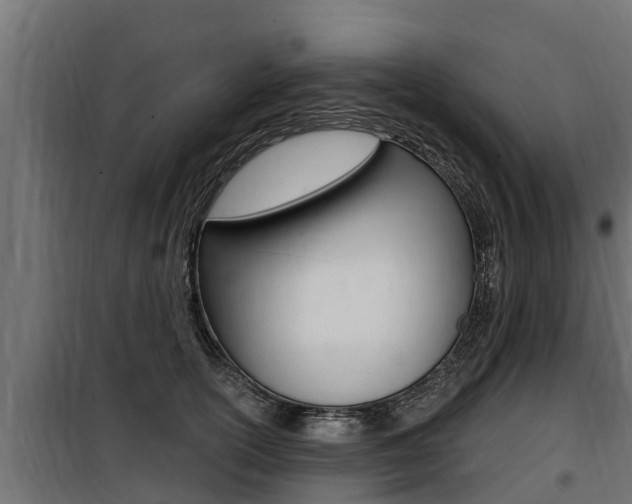 X0000100780754200806191016