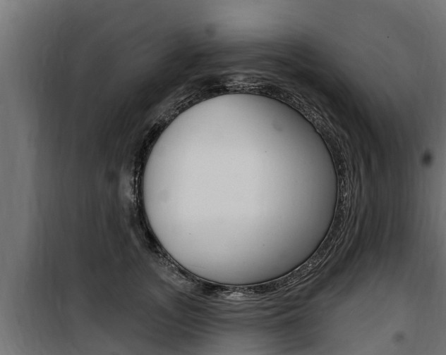 X0000100780755200806191016