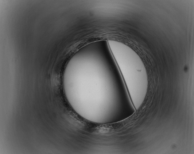 X0000100780756200806191016