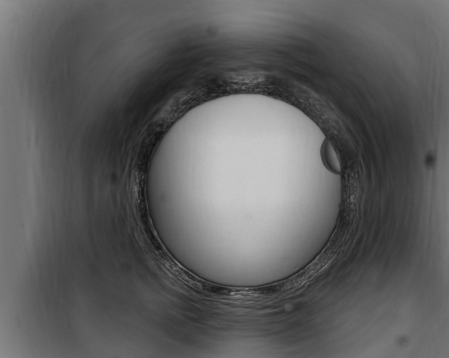 X0000100780758200806191016