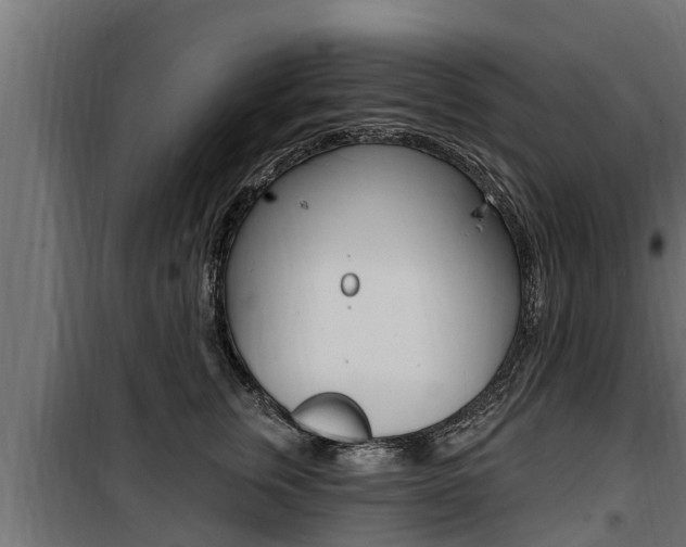 X0000100780759200806191016