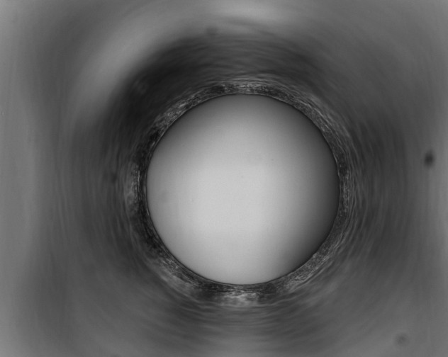 X0000100780760200806191016