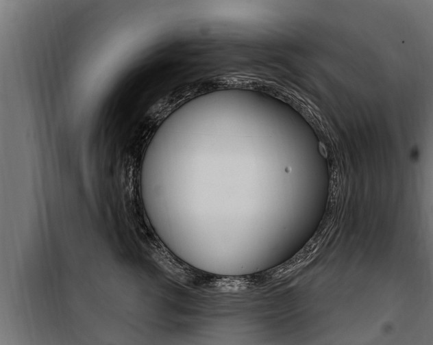 X0000100780762200806191016