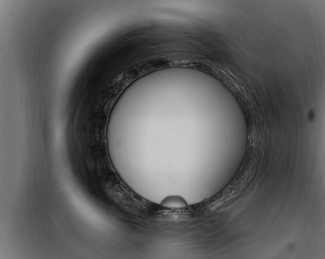 X0000100780763200806191016