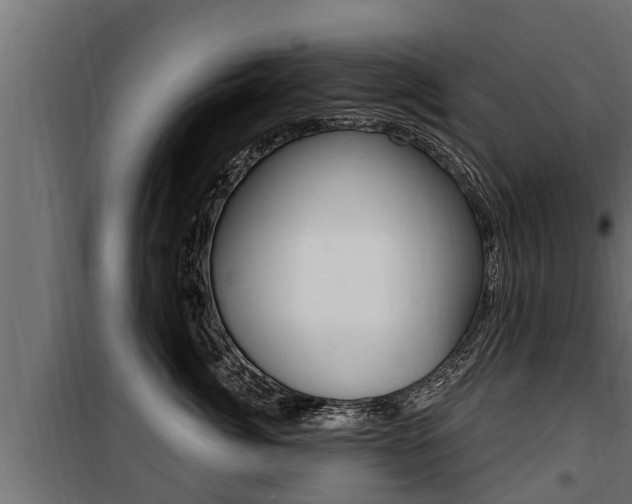 X0000100780764200806191016