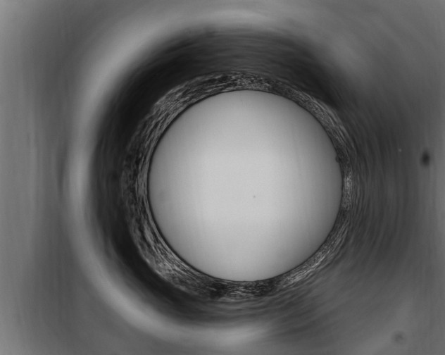 X0000100780765200806191016