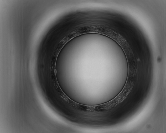 X0000100780766200806191016