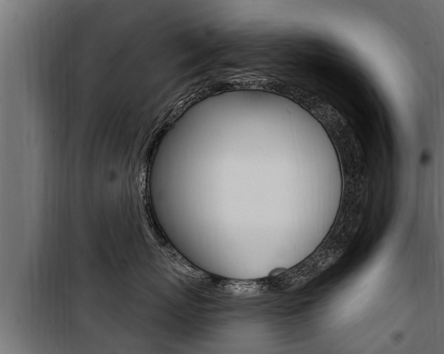 X0000100780767200806191017