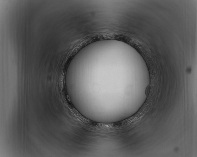 X0000100780768200806191017