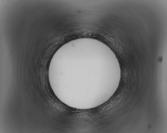 X0000100780769200806191016