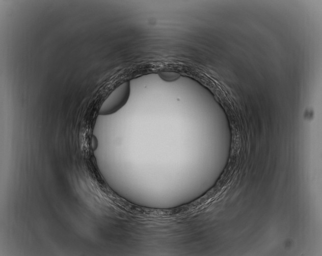 X0000100780770200806191016