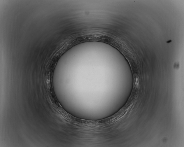 X0000100780771200806191016