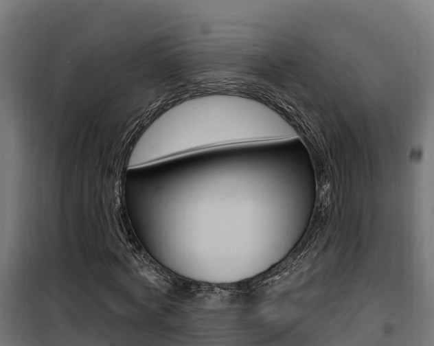 X0000100780772200806191016