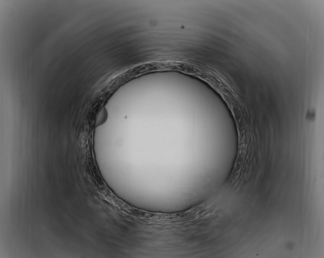 X0000100780773200806191016