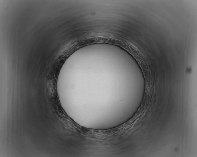 X0000100780774200806191016