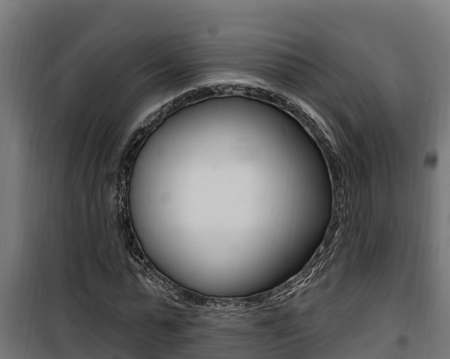 X0000100780775200806191016