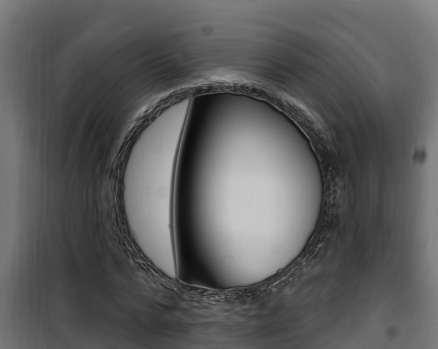 X0000100780776200806191016