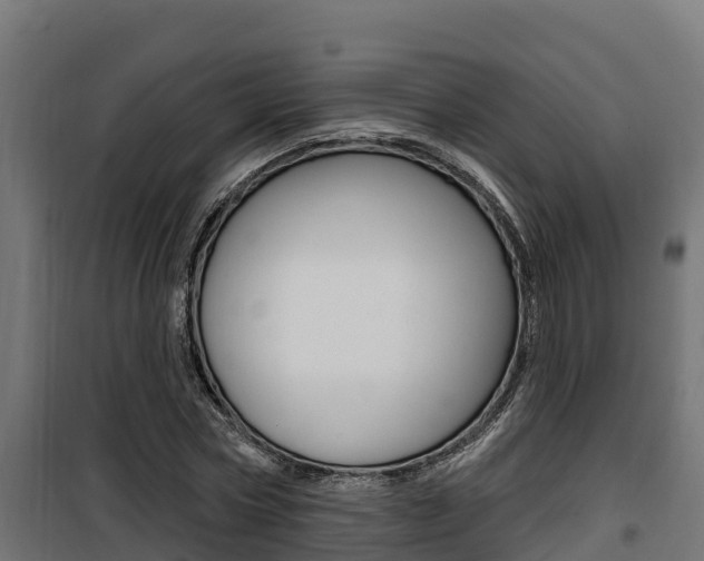 X0000100780778200806191016