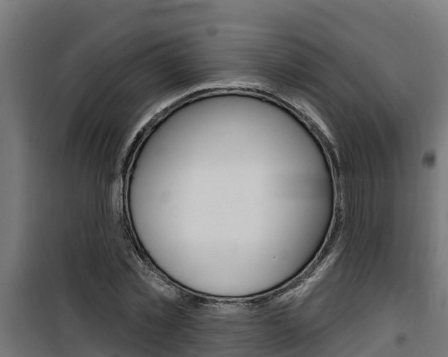 X0000100780781200806191015