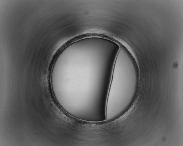 X0000100780783200806191015