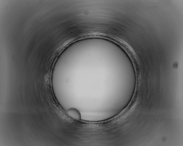 X0000100780785200806191015