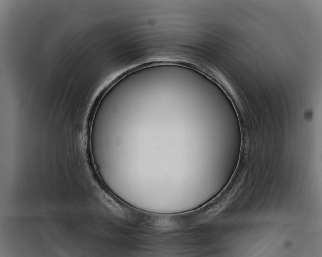 X0000100780787200806191015