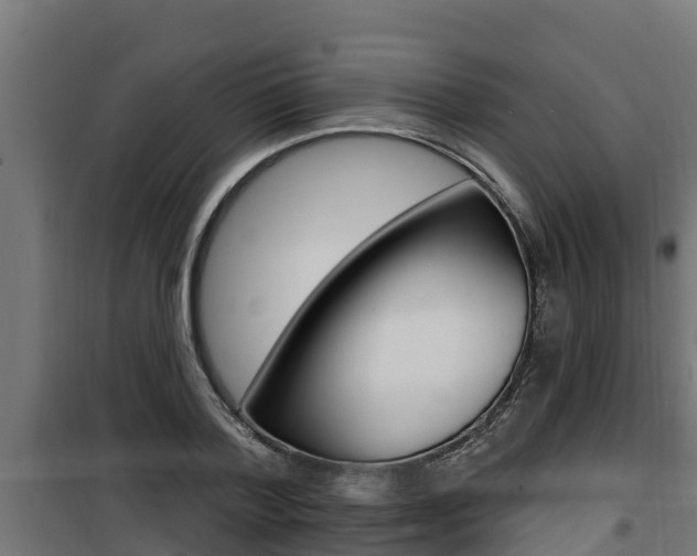 X0000100780788200806191015