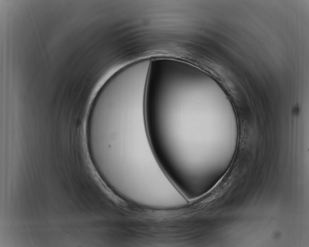 X0000100780796200806191015