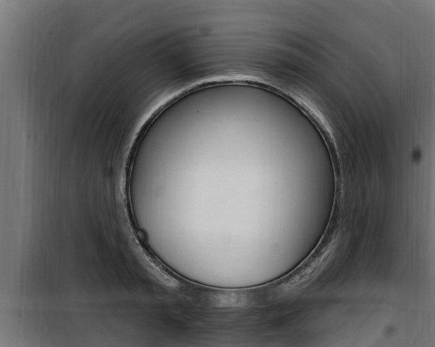 X0000100780797200806191015