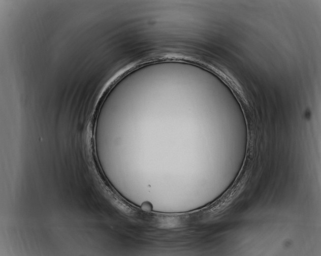 X0000100780798200806191015