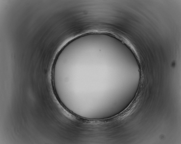 X0000100780803200806191015