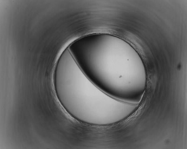 X0000100780804200806191015