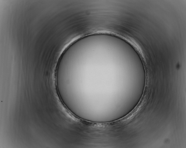 X0000100780806200806191015