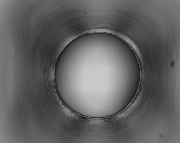 X0000100780809200806191015