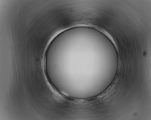 X0000100780811200806191015