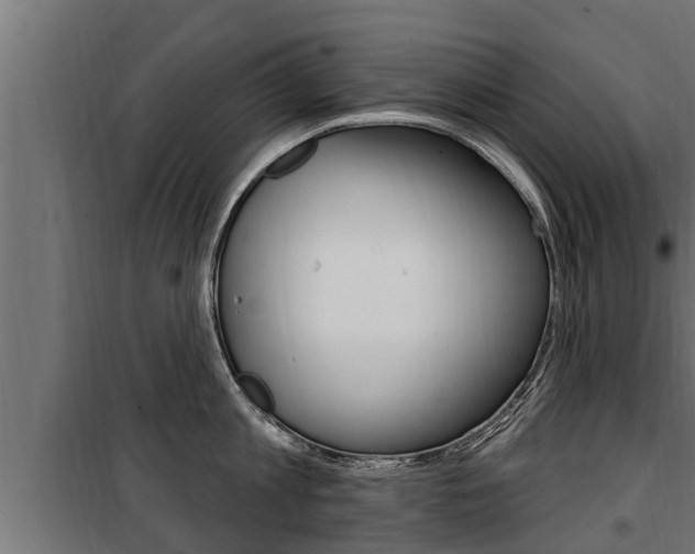 X0000100780813200806191015